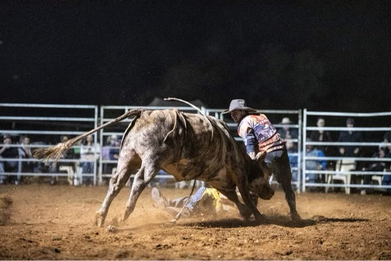WDS Saddlery Pro Rodeo Bull Fighting Vest