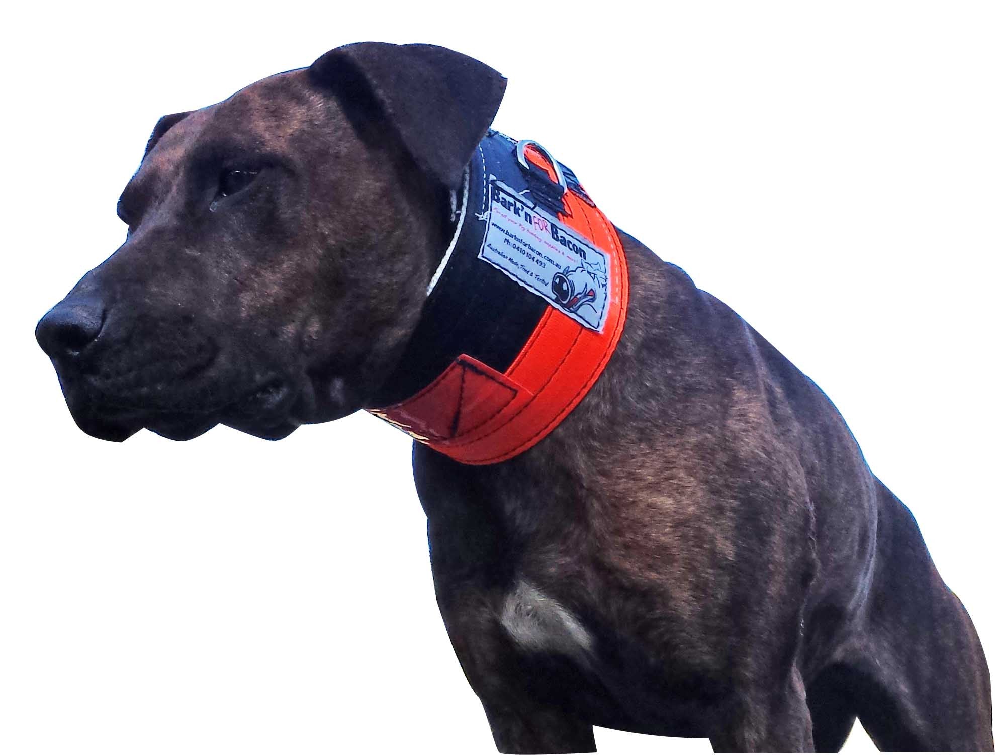 Hose/seatbelt Neck Collars